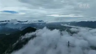 浙江外线投射稳定器厂家